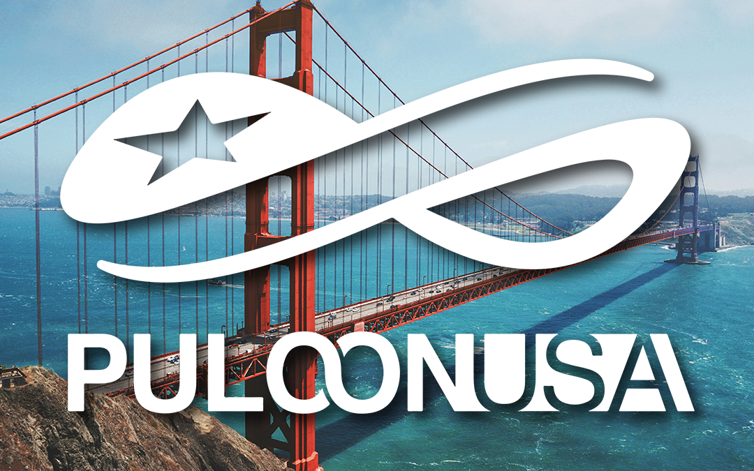 Elevate Your Business with Puloon ATMs: Perfect for Local California Businesses